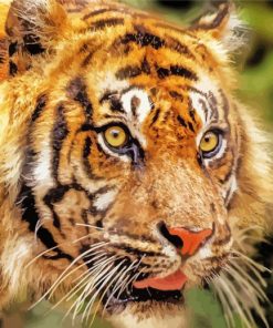 Tiger Look Diamond Painting