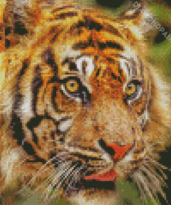 Tiger Look Diamond Painting