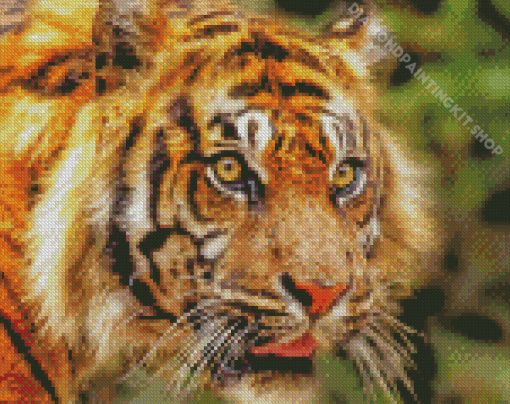 Tiger Look Diamond Painting