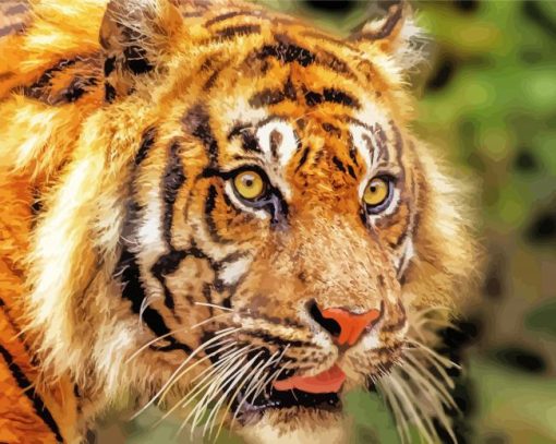 Tiger Look Diamond Painting