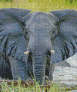 Water Elephant Art Diamond Painting