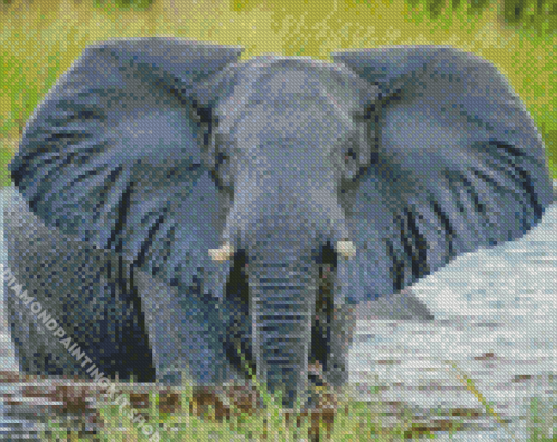 Water Elephant Art Diamond Painting