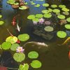 Water Lilies With Koi Diamond Painting