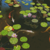 Water Lilies With Koi Diamond Painting