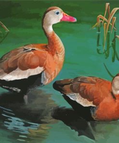 Whistling Ducks Diamond Painting