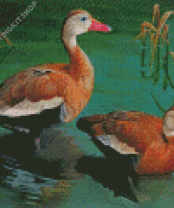 Whistling Ducks Diamond Painting