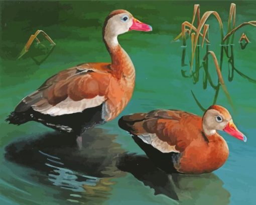 Whistling Ducks Diamond Painting