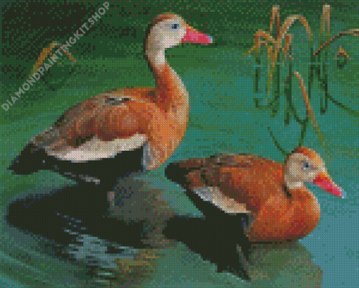 Whistling Ducks Diamond Painting