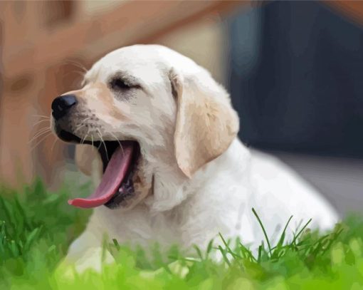 White Labrador Yawning Diamond Painting