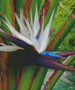 White Bird Of Paradise Diamond Painting