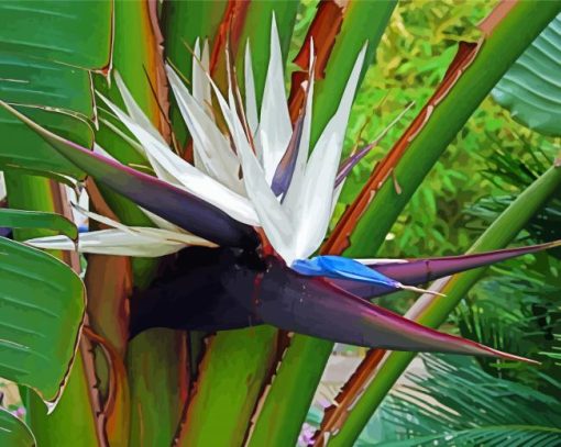 White Bird Of Paradise Diamond Painting