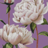 White Peony Flowers Diamond Painting