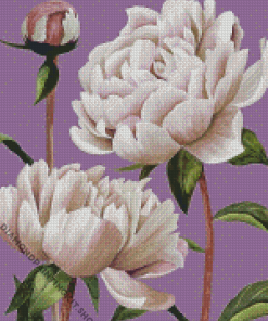 White Peony Flowers Diamond Painting