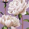 White Peony Flowers Diamond Painting