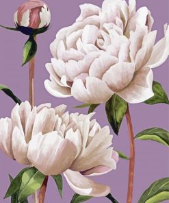 White Peony Flowers Diamond Painting