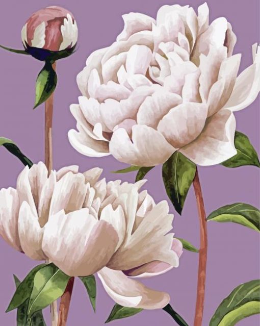 White Peony Flowers Diamond Painting