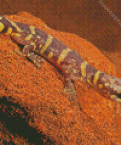 Wild Desert Gecko Diamond Painting