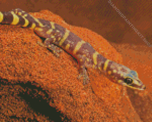 Wild Desert Gecko Diamond Painting