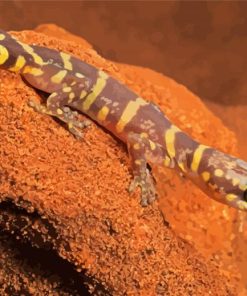 Wild Desert Gecko Diamond Painting