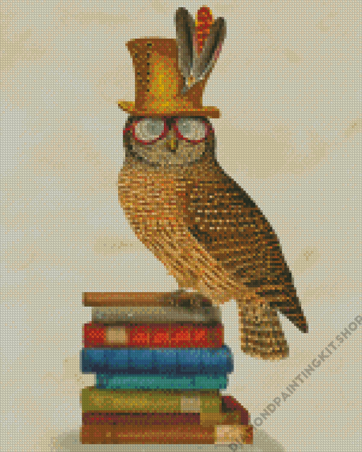 Wise Owl Bird On Books Diamond Painting