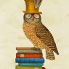 Wise Owl Bird On Books Diamond Painting