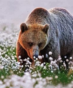 Adorable Bear In Flowers Field Diamond Painting