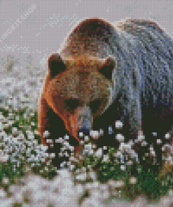 Adorable Bear In Flowers Field Diamond Painting