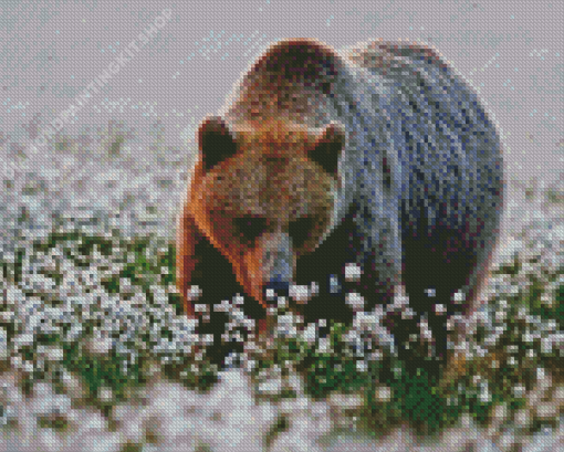 Adorable Bear In Flowers Field Diamond Painting