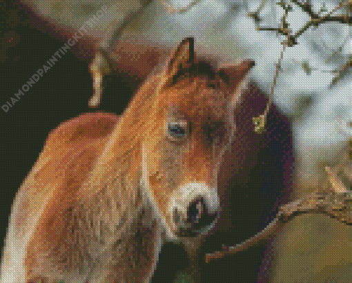 Adorable Horse Foal Diamond Painting