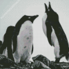 Aesthetic Black And White Penguins Diamond Painting