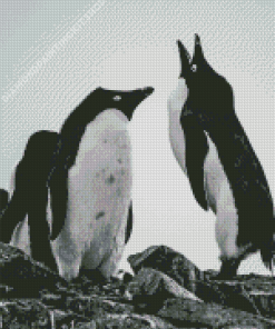 Aesthetic Black And White Penguins Diamond Painting