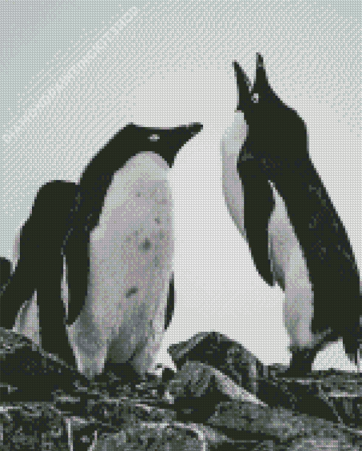 Aesthetic Black And White Penguins Diamond Painting