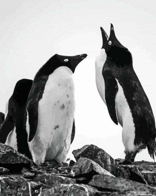 Aesthetic Black And White Penguins Diamond Painting