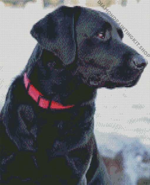 Aesthetic Black Lab Diamond Painting