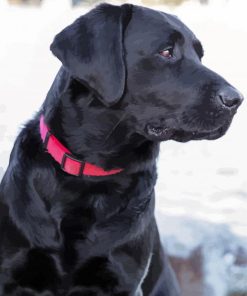 Aesthetic Black Lab Diamond Painting