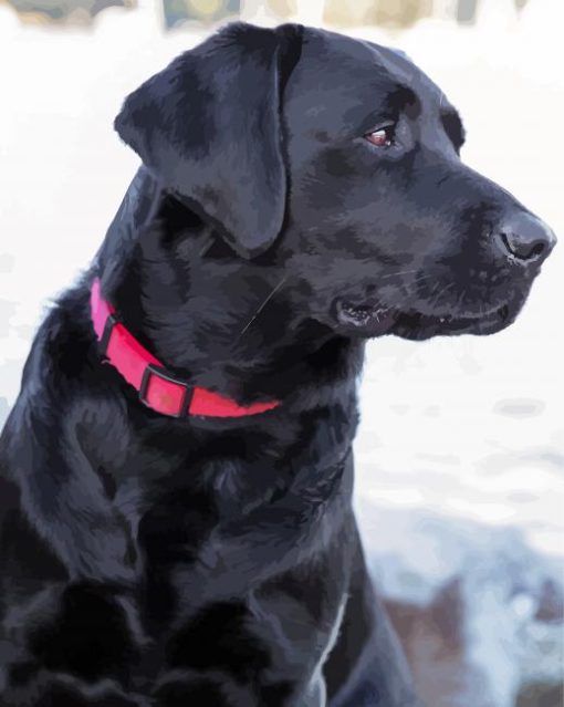 Aesthetic Black Lab Diamond Painting