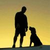 Aesthetic Man And Dog Silhouette Diamond Painting