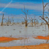 Aesthetic Menindee Diamond Painting