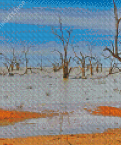 Aesthetic Menindee Diamond Painting