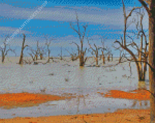 Aesthetic Menindee Diamond Painting