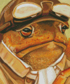 Aesthetic Mr Toad Diamond Painting