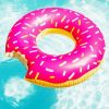 Aesthetic Pink Donut In Pool Diamond Painting