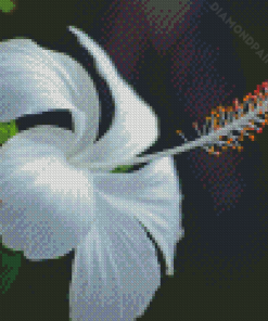 Aesthetic White Hibiscus Diamond Painting