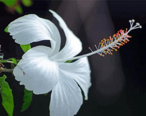 Aesthetic White Hibiscus Diamond Painting