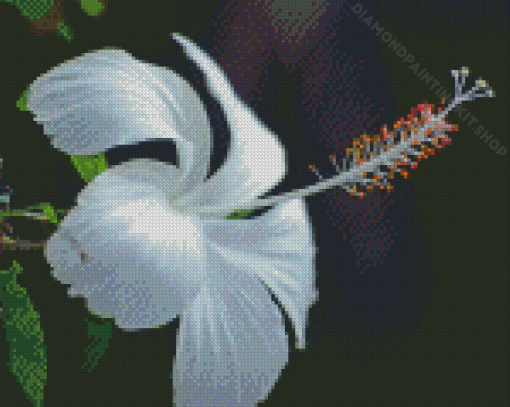 Aesthetic White Hibiscus Diamond Painting