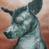 Aesthetic Xolo Dog Art Diamond Painting