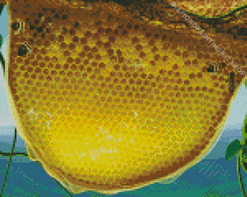 Aesthetic Bee Hive Diamond Painting