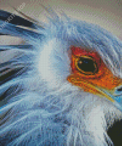 Aesthetic Bird Portrait Diamond Painting