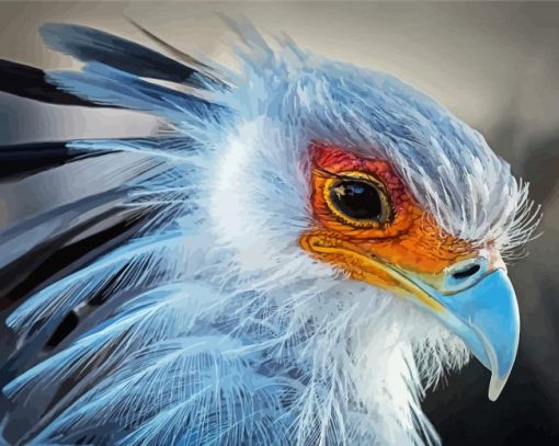 Aesthetic Bird Portrait Diamond Painting