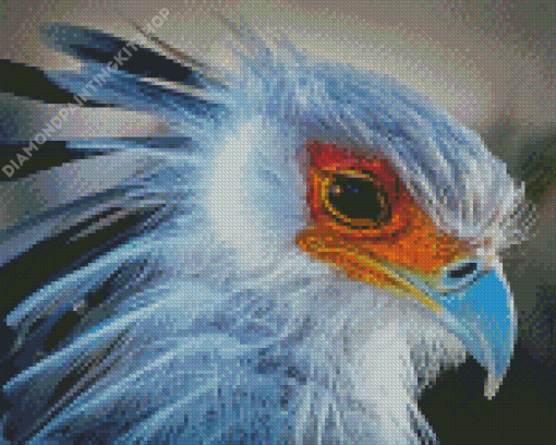 Aesthetic Bird Portrait Diamond Painting